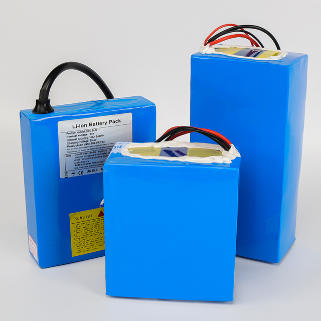 OEM customized pack 12V 24V 36V 48V 60V 72V 10Ah 20Ah 30Ah 40Ah 50Ah 60Ah Lithium Battery Pack for E-bik
