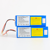 OEM Customized Pack 12V 24V 36V 48V 10Ah 20Ah 30Ah 40Ah Lithium Battery Pack 